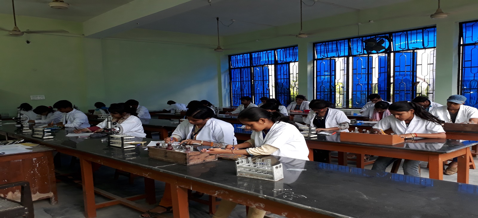 Department Activity 3