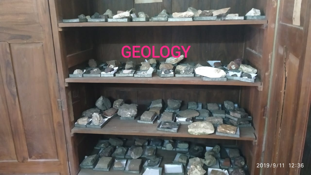 Department Activity 2